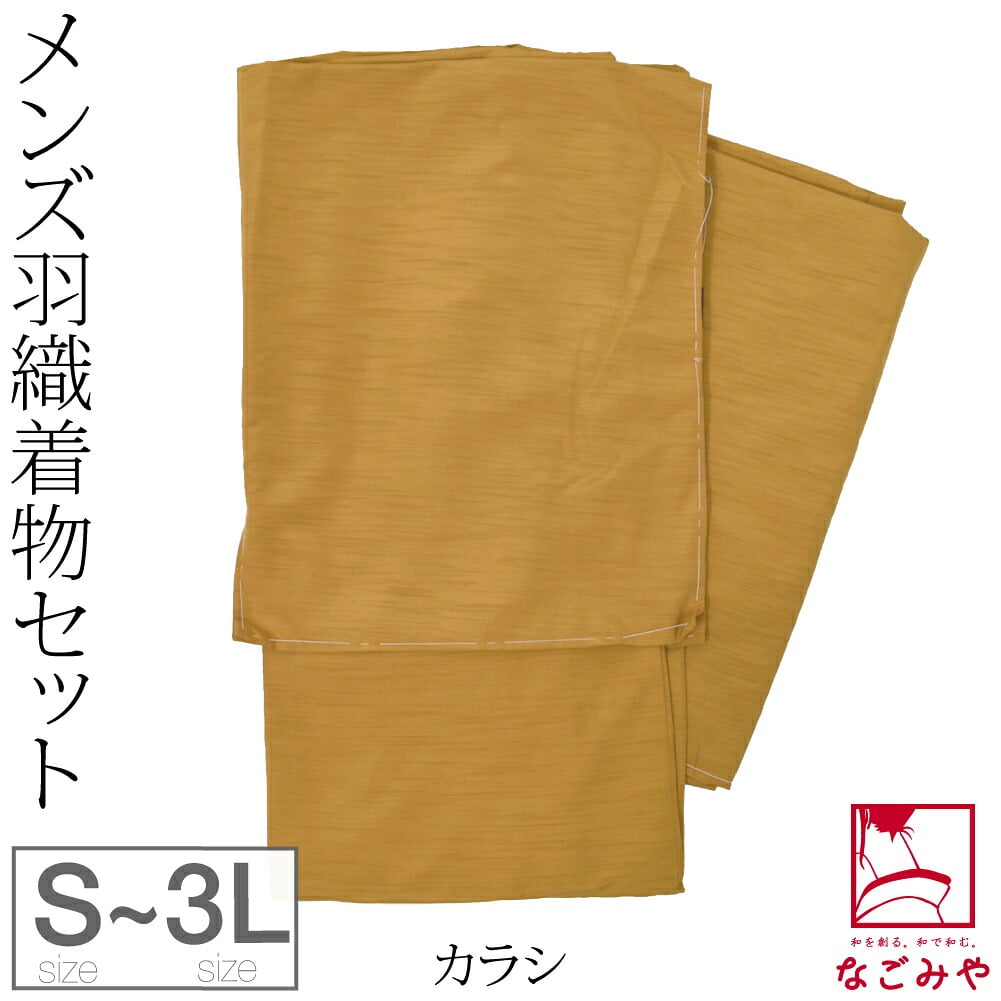 男物 アンサンブル 色無地プレタ