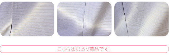 訳あり 本塩沢 雪の中のきれ 正絹 訪問着