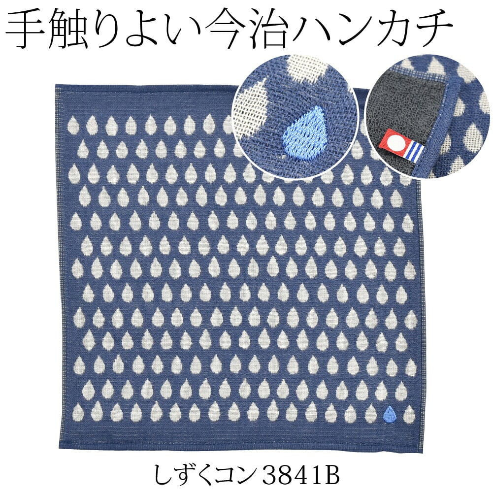 [彩] 経緯 刺繍ガーゼパイル 今治タオル