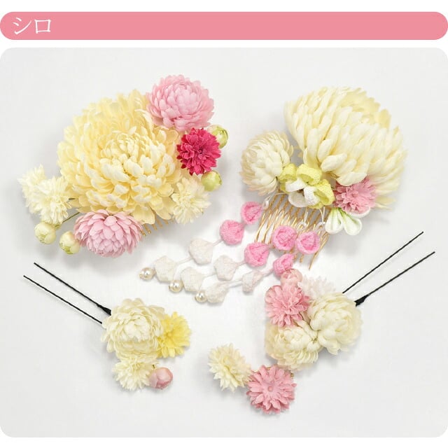 ぽんぽん菊 藤下がり 4点セット
