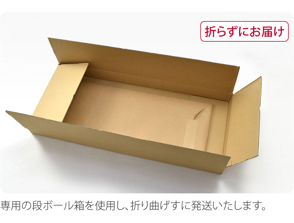台紙 10枚セット