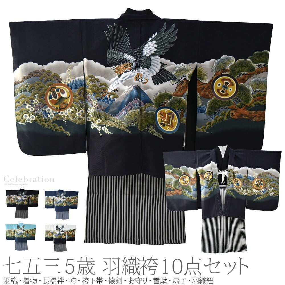 アンサンブル10点セット 鷹に富士 縞袴 箱なし
