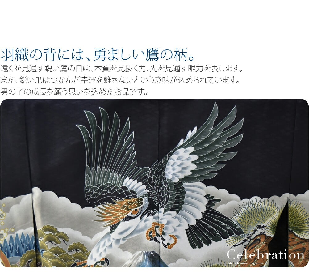 アンサンブル10点セット 鷹に富士 縞袴 箱なし