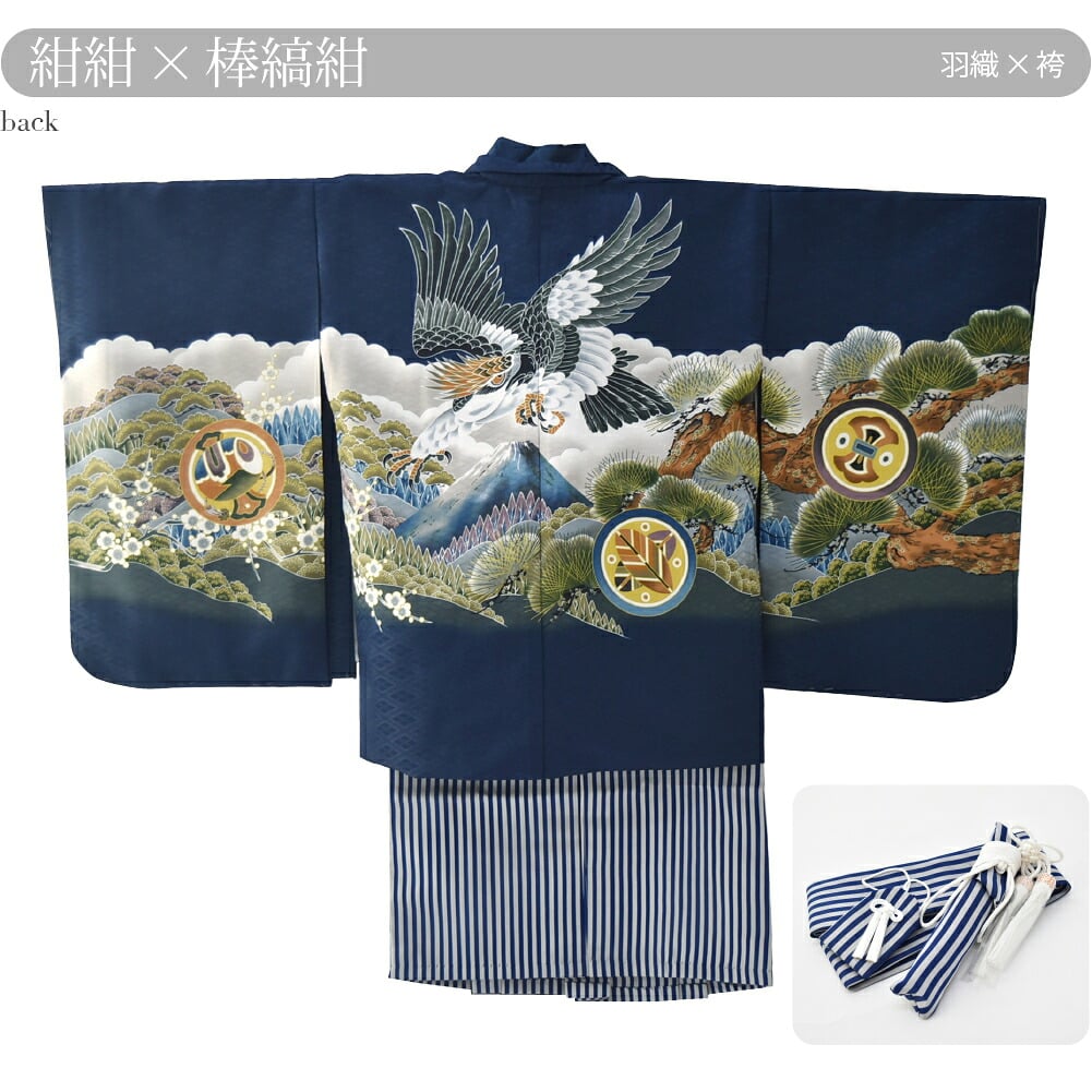 アンサンブル10点セット 鷹に富士 縞袴 箱なし