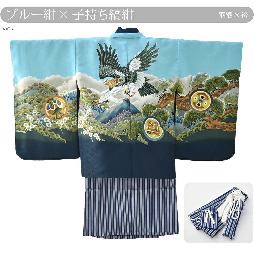 アンサンブル10点セット 鷹に富士 縞袴 箱なし