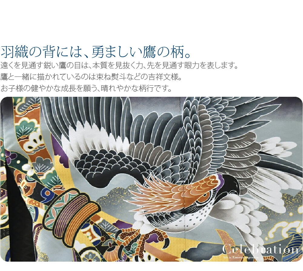 アンサンブル10点セット 鷹に束ね熨斗 金襴袴 箱なし