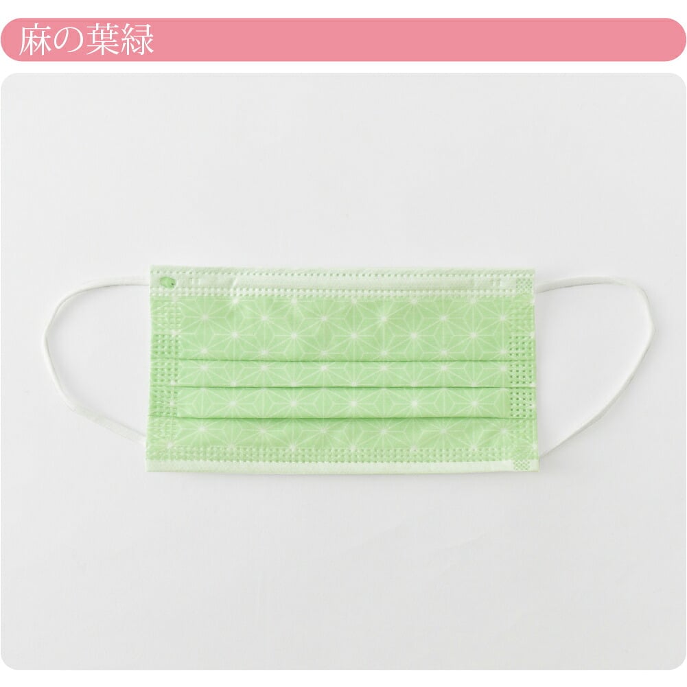 和柄 サージカルマスク 10枚入