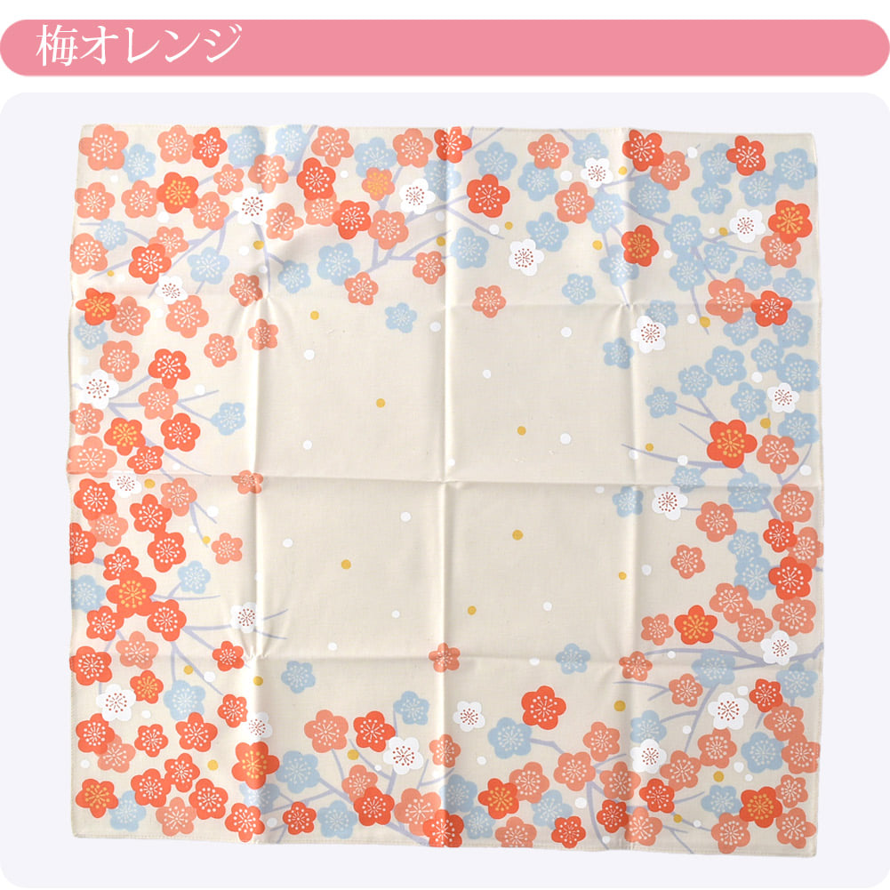 [むす美] 50ひめむすび オーガニック