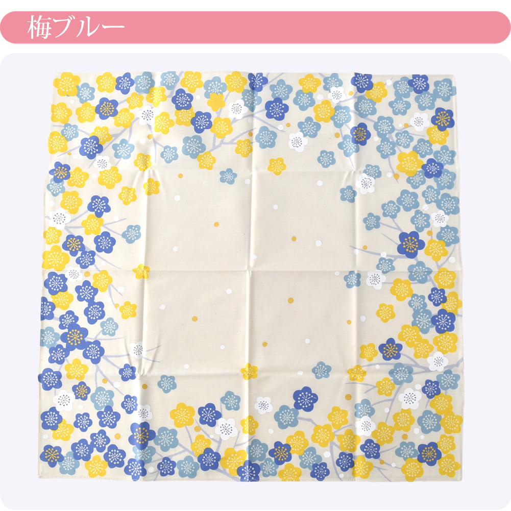 [むす美] 50ひめむすび オーガニック
