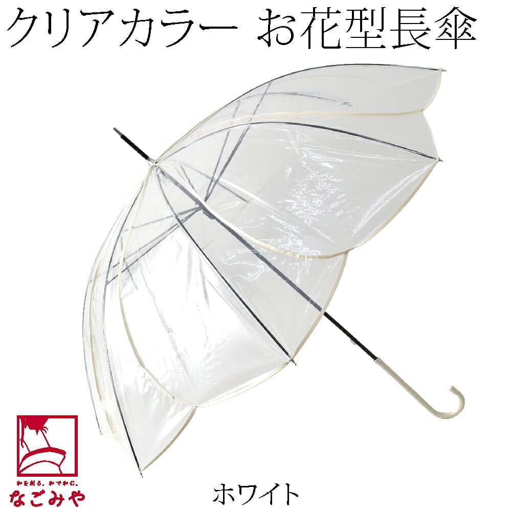 [because] 長傘 クリアアンブレラ カラーパイピング