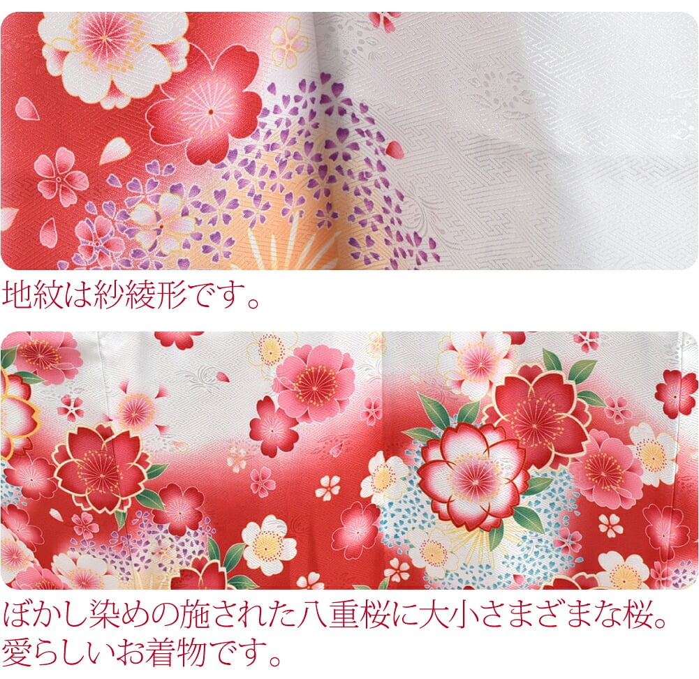 絵羽柄 四つ身セット 桜