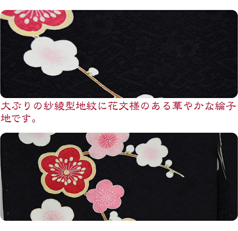 逸品 正絹 大四つ身 手描き友禅 梅枝垂れ