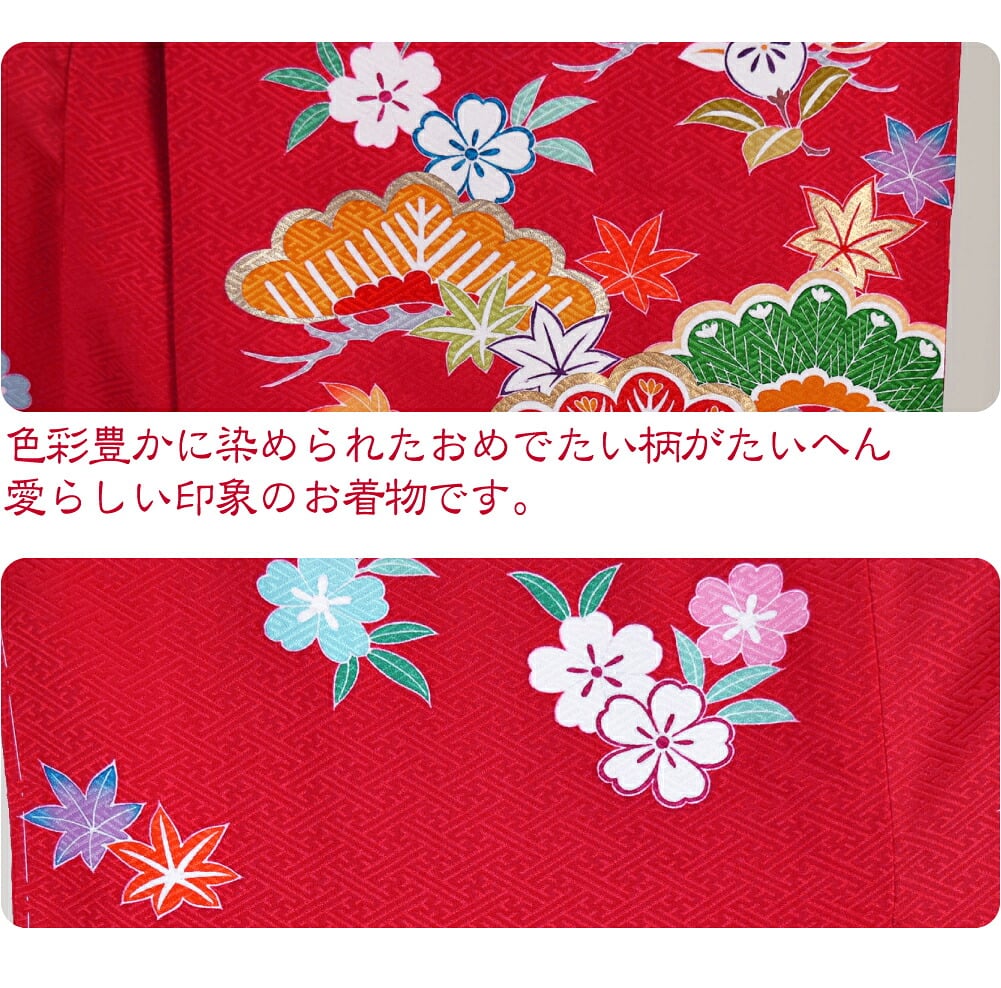 逸品 正絹 大四つ身 手描き友禅 松に橘桜