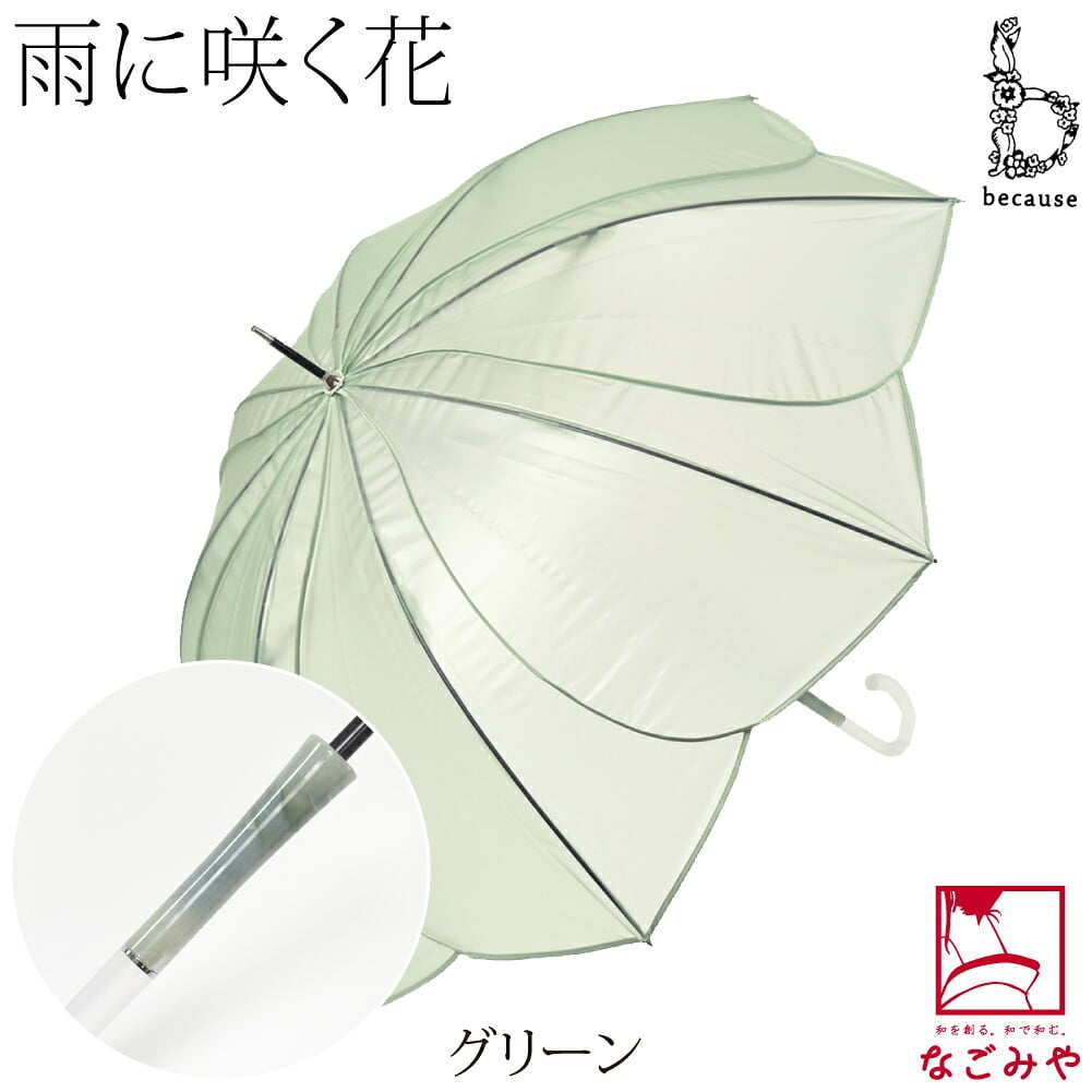 [because] 長傘 クリアアンブレラ パウダリーフローラ