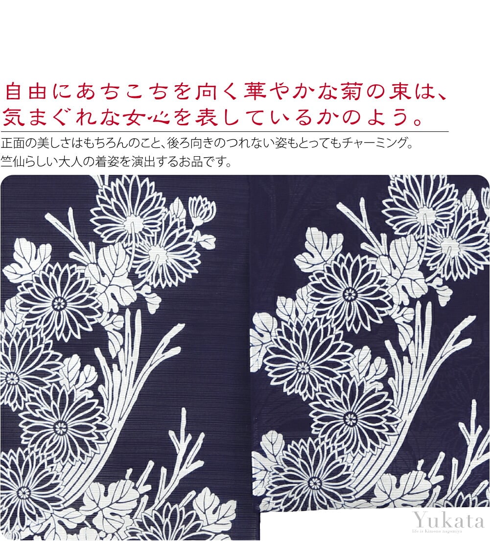 竺仙浴衣反物　綿絽地染　束ね菊自由にあちこちを向く華やかな菊の束は、気まぐれな女心を表しているかのよう。正面の美しさはもちろんのこと、後ろ向きのつれない姿もとってもチャーミング。竺仙らしい大人の着姿を演出するお品です。