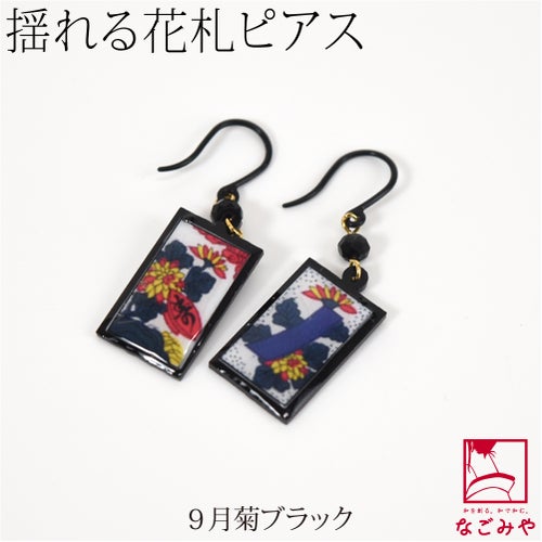 9月菊_ブラック