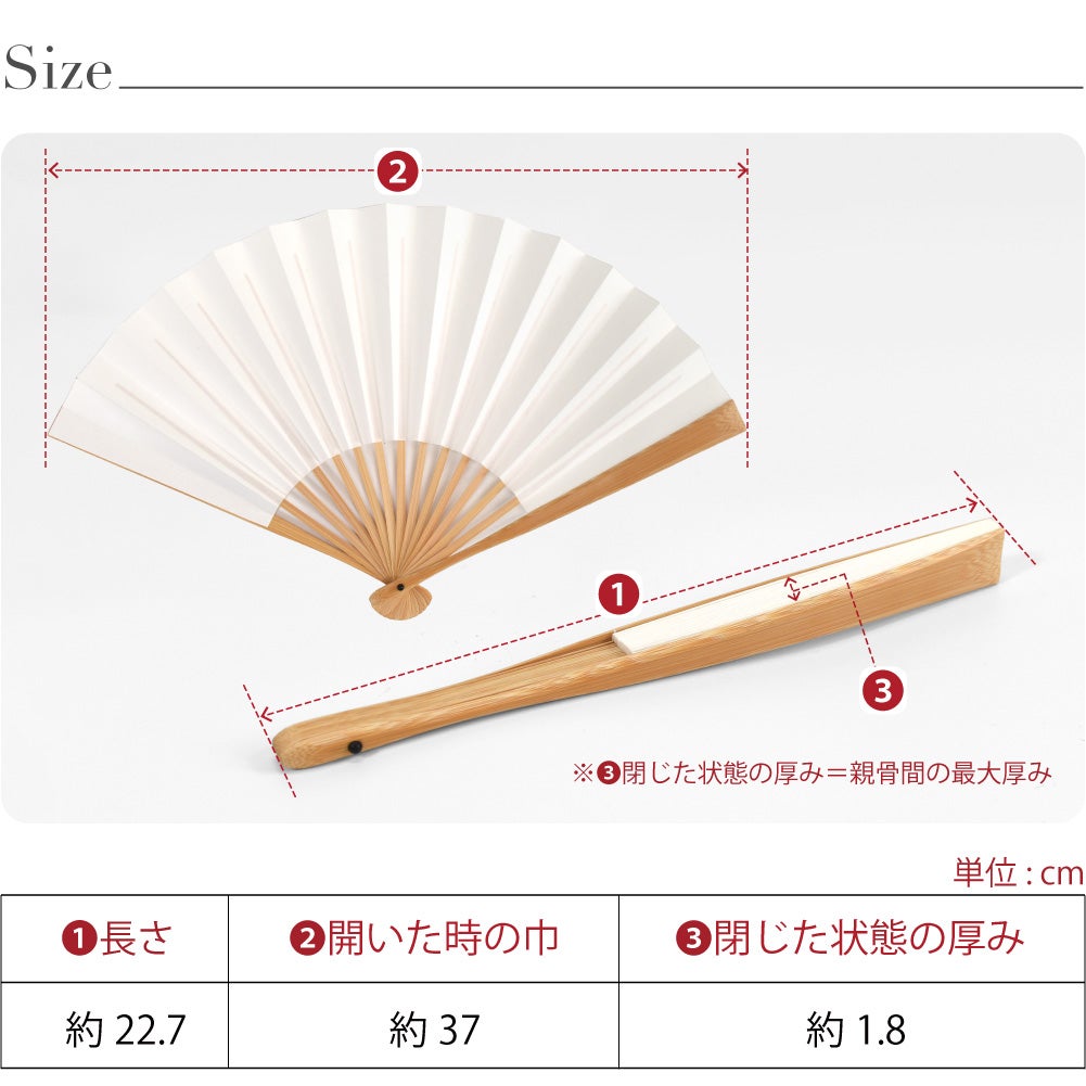 高座扇子 竹骨 白扇