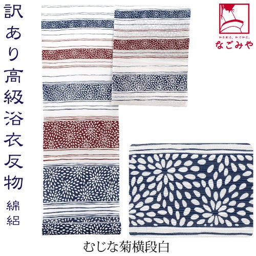 むじな菊横段_白